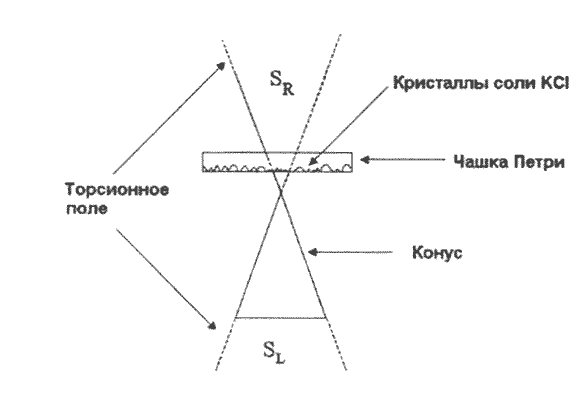 Реферат: Торсионные поля. Торсионные технологии