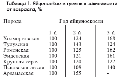 Яйценоскость. Яйценоскость гусей от возраста. Яйценоскость гусей по породам таблица. Яйценоскость гусей по породам. Самые яйценоские породы гусей.