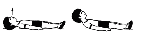 Голова ноги туловище. Упражнения для осанки лежа на животе. Упражнения лежа на полу для детей. Упражнения лежа на спине для детей. Упражнения для детей из положения лежа.