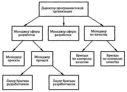 Организационная структура ит проекта