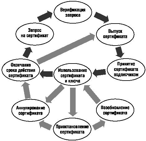 Жизненный цикл сертификата