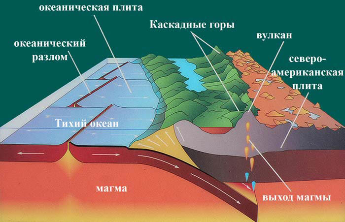 Тектоника плит земли. Тектонические движения литосферных плит. Гипотеза тектоники литосферных плит. Литосферная плита океаническая и Континентальная. Океаническая субдукция.