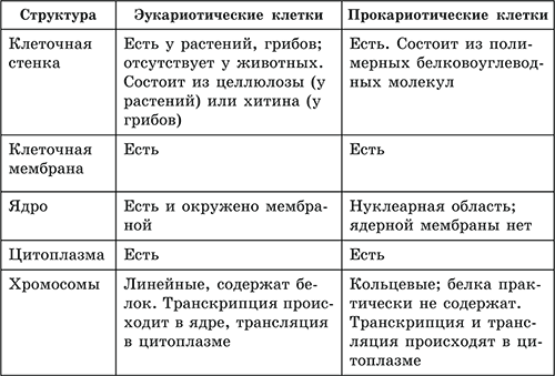 Составьте план сообщения о гипотезах происхождения эукариот