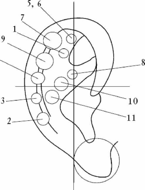 Карта ушной раковины