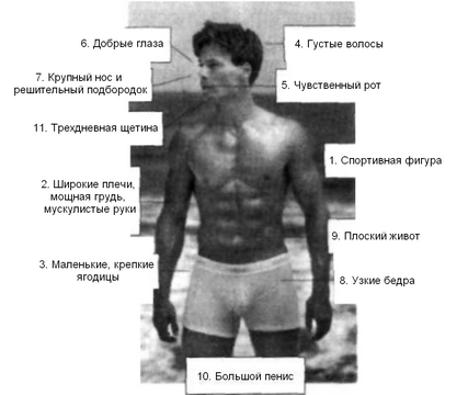ТОП самых сексуальных частей мужского тела: горячие точки - nordwestspb.ru