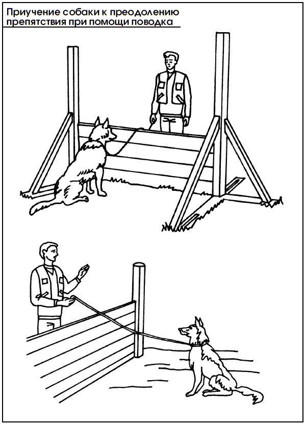 Приемы дрессировки собак. Схема ОКД для собак. Препятствия для собак. Препятствия для собак для тренировки.