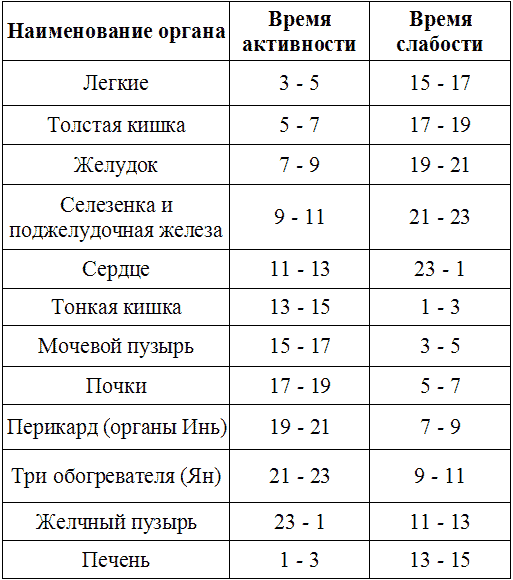 Суточная активность органов. Суточные периоды активности внутренних органов. Таблица активности органов человека по часам. Таблица активности органов человека в течении суток. Часы активности внутренних органов человека по часам.