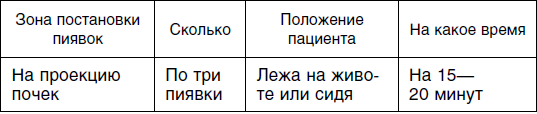 Гирудотерапия схема постановки пиявок