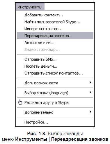 Режим особых потребностей skype