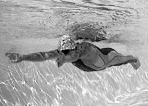 Плавание брассом: иллюстрации . Как рыба в воде. Эффективные техники ...