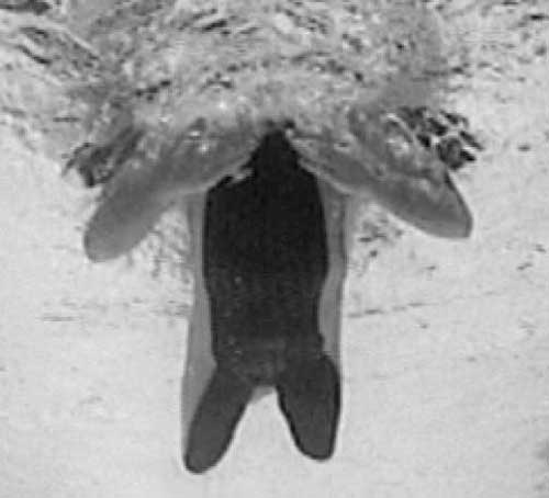 Плавание брассом: иллюстрации . Как рыба в воде. Эффективные техники ...