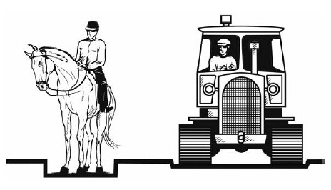 Трактор лошадка. Трактор конь. Рисунок лошади и трактора. Лошадки и машинка раскраски. Серый трактор с лошадкой.