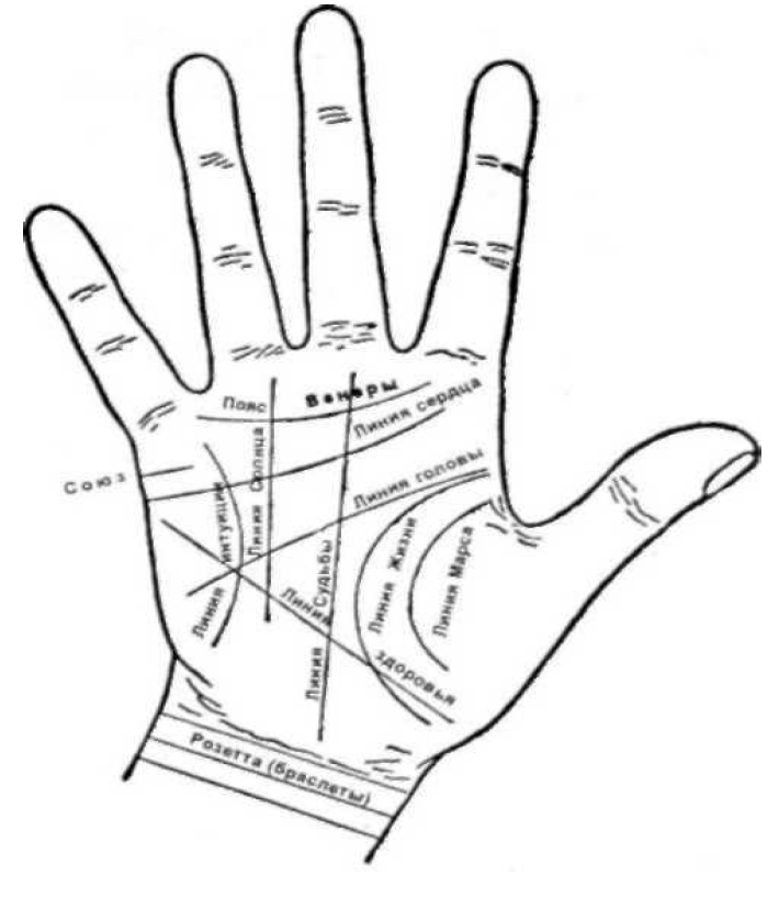 Основы хиромантии для начинающих в картинках пошагово