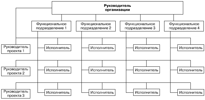 Сетевая организационная структура схема