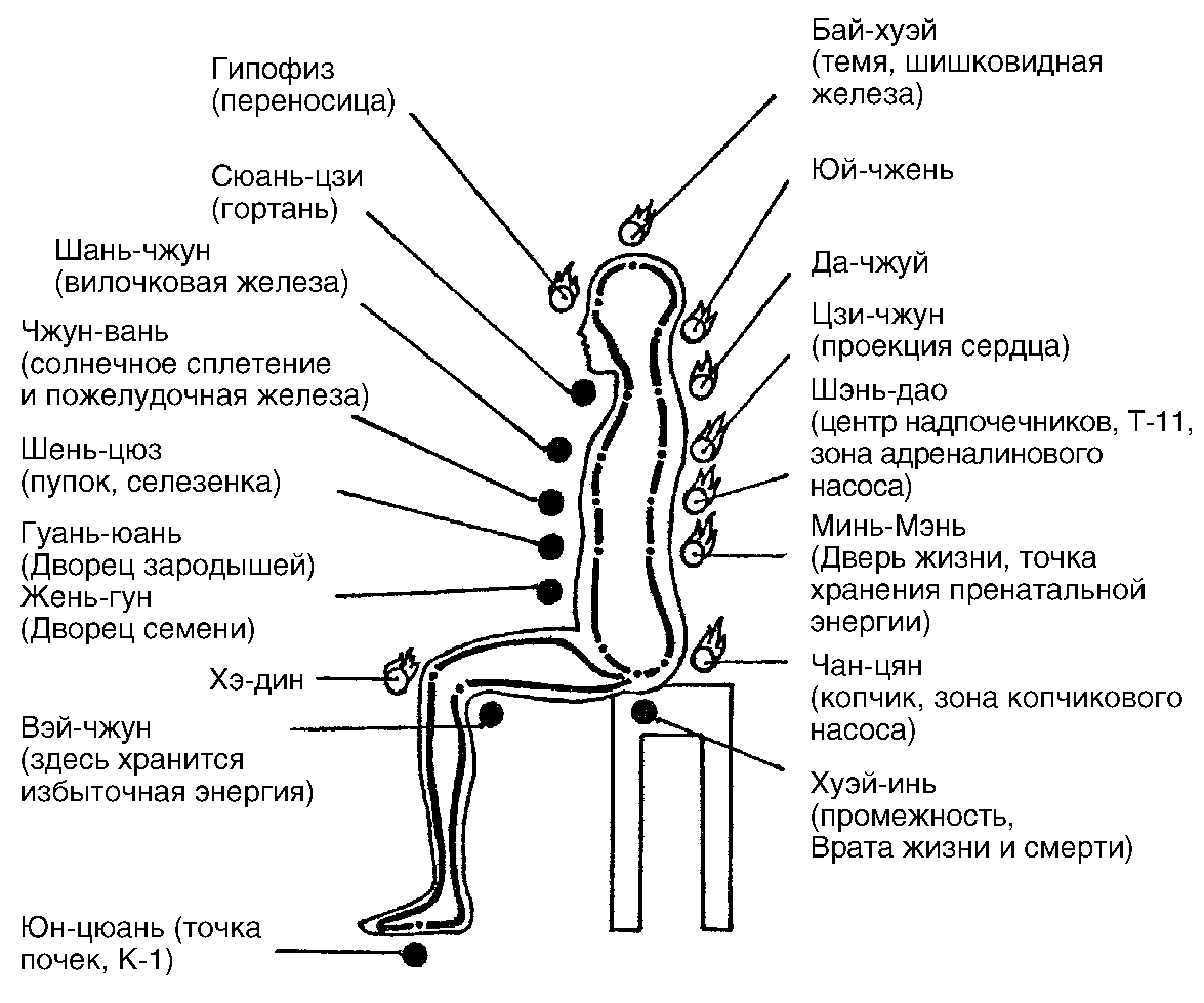 Жизненная точка. Точка "мин-Мэнь" врата жизни. Точка врата жизни. Точка Хуэй Инь. Точка минь Мэнь.