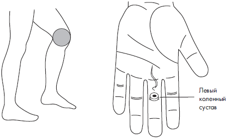 Точки мк. Су Джок при артрозе тазобедренного сустава. Су Джок плечевой сустав. Акупунктурные точки коленного сустава. Точечный массаж при болях в коленных суставах.