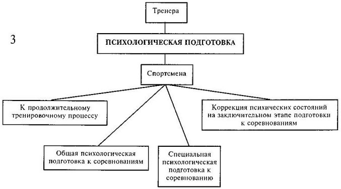 Реферат: Психологическая подготовка спортсмена