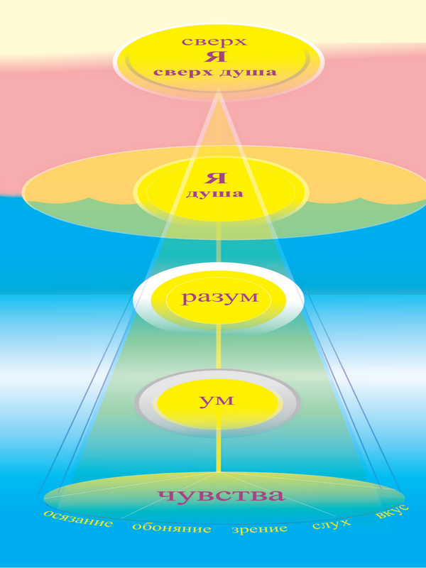 4 уровня души. Ум разум ложное эго схема. Чувства ум разум душа. Строение личности ум разум. Структура души.