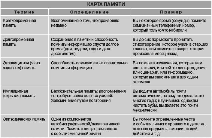 Кратковременная и долговременная память: 6 шагов, как улучшить способности мозга