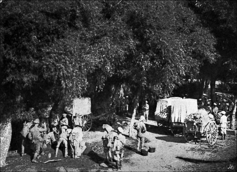 Генерал линевич 1904 г фото