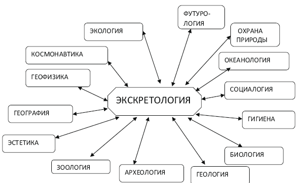 Оформите схему естествознание синтез наук