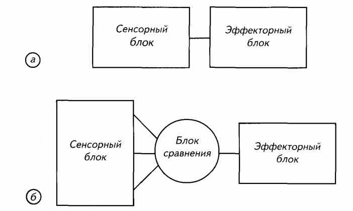 чем обусловлены таксисы простейших. Смотреть фото чем обусловлены таксисы простейших. Смотреть картинку чем обусловлены таксисы простейших. Картинка про чем обусловлены таксисы простейших. Фото чем обусловлены таксисы простейших