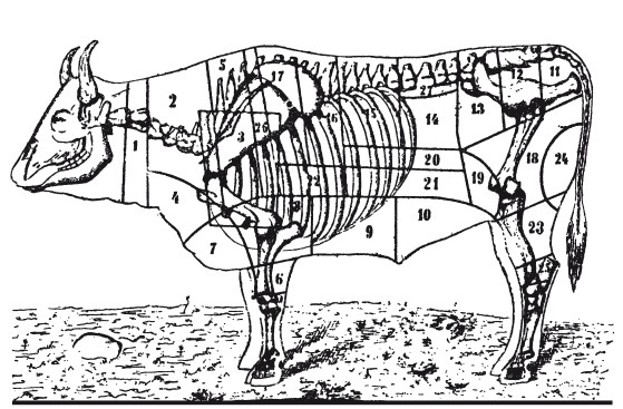 Схема сортировки мясной туши