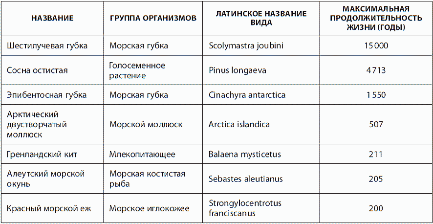 Методическая разработка "Использование приемов педагогической техники А. Гина дл