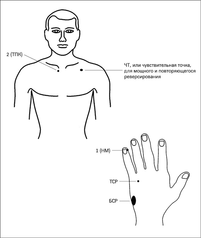 схема эрогенных зон мужчины и женщины. какие точки чувствительны. возбуждающие точки на теле женщины. точки пчелоужаливания при простатите. какие точки чувствительны.