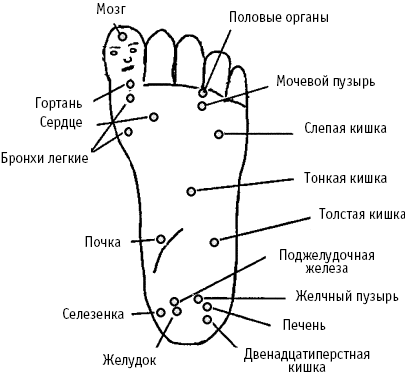 Точки на ладони отвечающие за внутренние органы фото с надписями