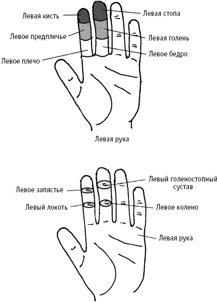 Пальцы левой руки. Средний палец левой руки. Указательный палец левой руки. Болит указательный палец на левой руке. Средний палец правой руки.