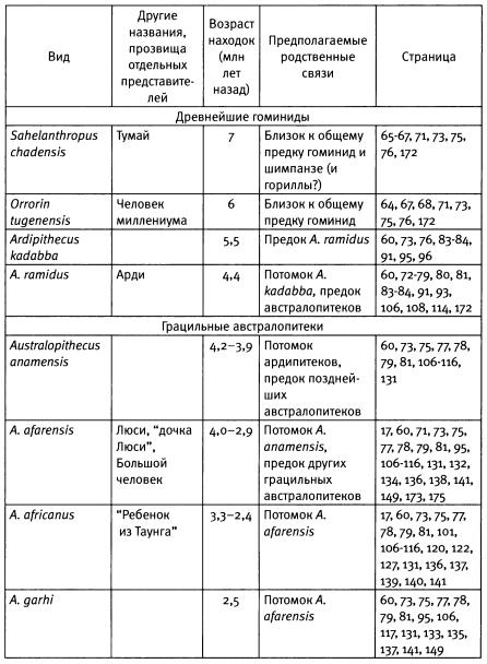 Основные этапы эволюции человека таблица