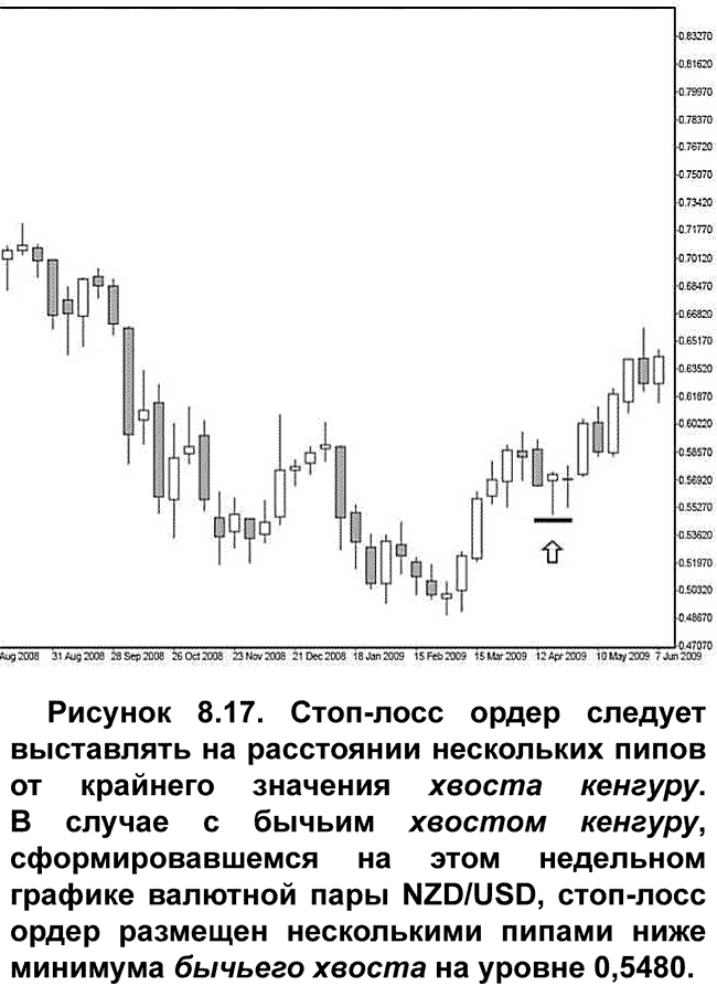 Стоплосс ордер. Голый Форекс Техника трейдинга без индикаторов с высокой вероятностью успеха