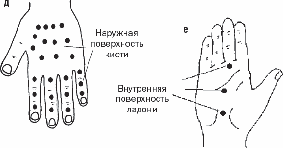 Секретная точка. Наружная поверхность кисти. Внутренняя и наружная поверхность кисти. Внутренняя поверхность ладони. Наружная поверхность ладони.