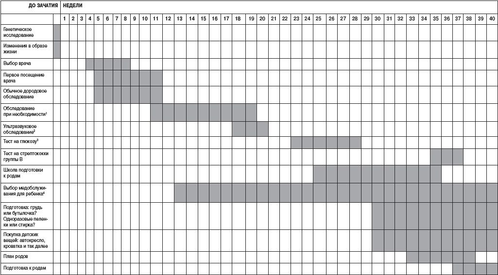 Составление плана ведения беременности