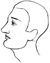 Физиогномика лица мужчины в картинках примеры подбородок