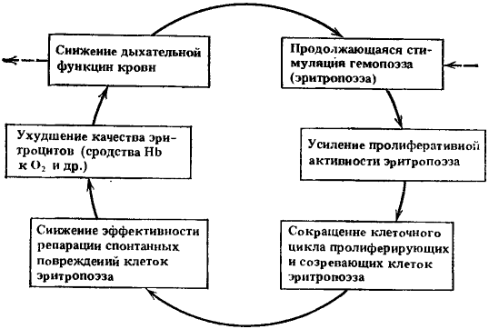 Порочный круг «недостойного правления» - Ведомости