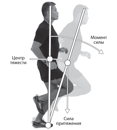 Правильное использование силы. Центр тяжести в беге. Центр тяжести в спорте. Действующие силы при ходьбе. Позный метод бега.
