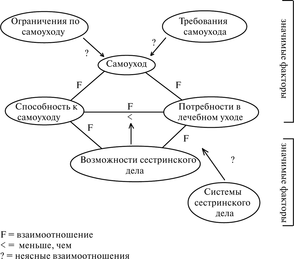Описание теорией сестринского дела как такового . Сестринское дело ...