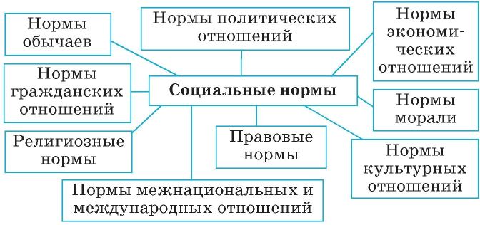 Виды соц норм схема