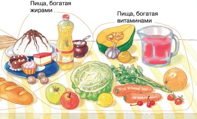 Полезные продукты рисунки для детей