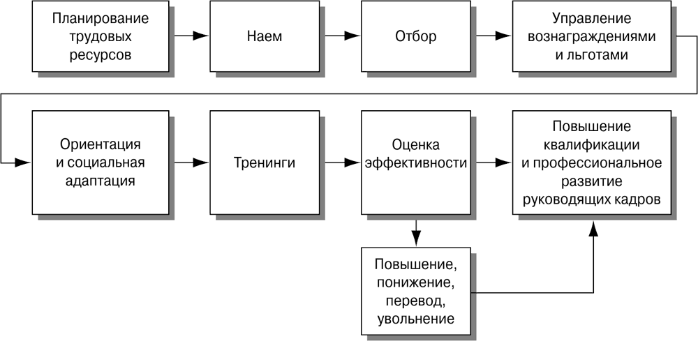 Трудовые ресурсы схема