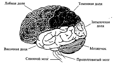 13 45 в долях. 13 45 в долях. Сравнение долей. 13 45 в долях. 13 45 в долях.