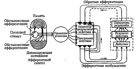 Что означает определение интегративная деятельность мозга. Смотреть фото Что означает определение интегративная деятельность мозга. Смотреть картинку Что означает определение интегративная деятельность мозга. Картинка про Что означает определение интегративная деятельность мозга. Фото Что означает определение интегративная деятельность мозга