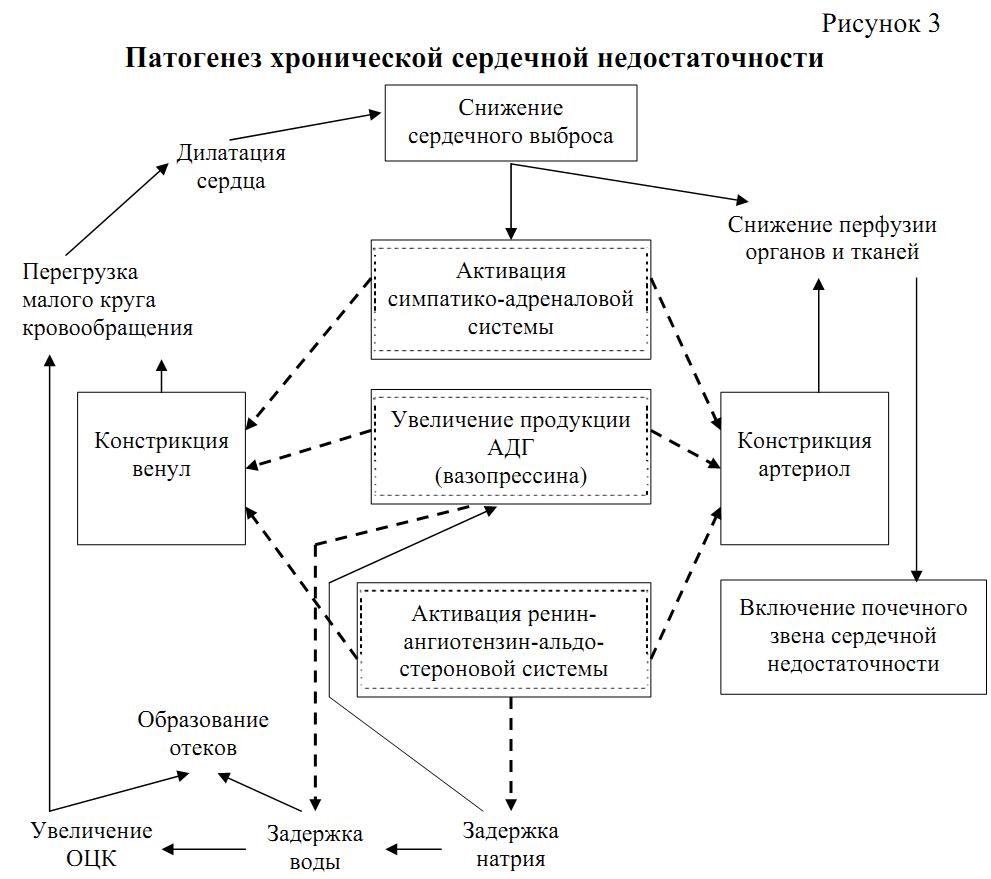 Патогенез хсн схема