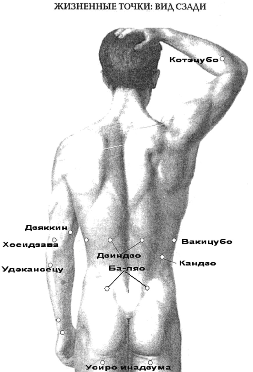 Жизненная точка. Жизненные точки человека. Болевые точки карате. Болевые точки на теле человека. Жизненные точки.