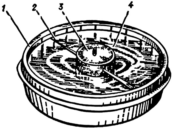 Самодельный компас. Самодельный компас из иголки и воды и магнита. Компас из иголки. Первый компас. Первый компас иголка в воде.