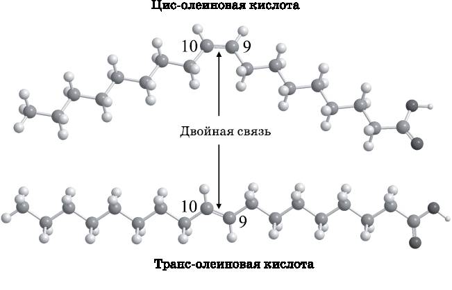 Связь-Транс.М, ООО