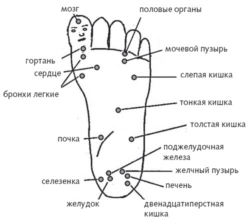 Су джок схема ладони