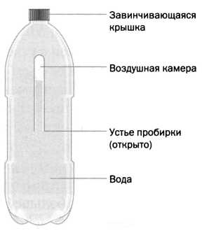 Картезианский водолаз проект